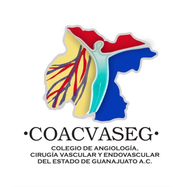 COACVASEG Logo